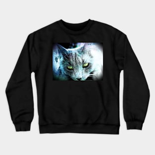 Green Eyes Grey Fur Beautiful Crewneck Sweatshirt